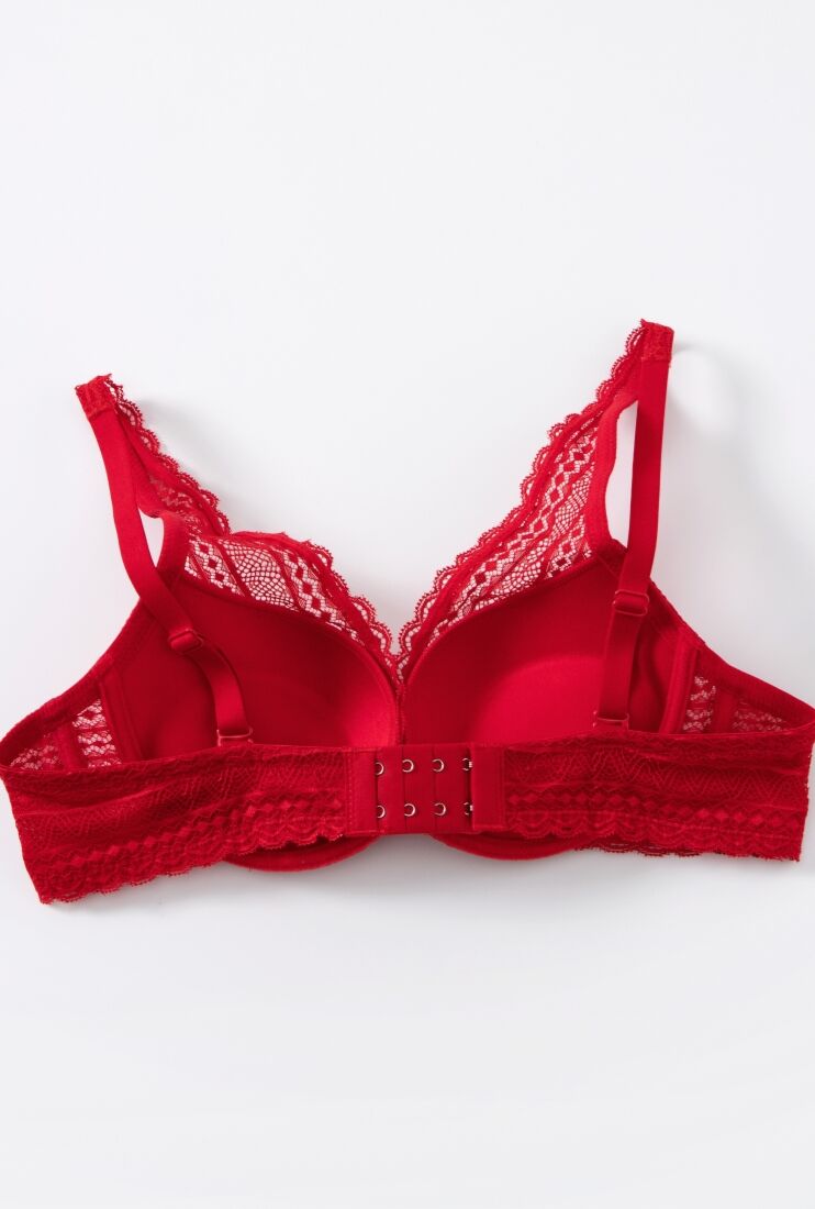 Destiny Romance Wired Deep V Push Up Demi Bra – Young Hearts Sdn